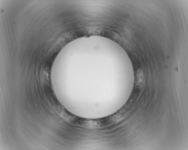 X0000088840522200706281824