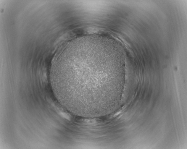 X0000088840524200706281824