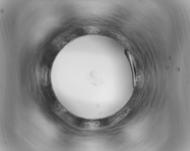 X0000088840525200706281824