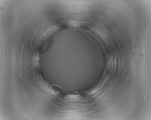 X0000088840526200706281824