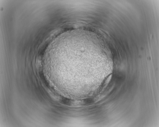 X0000088840527200706281824