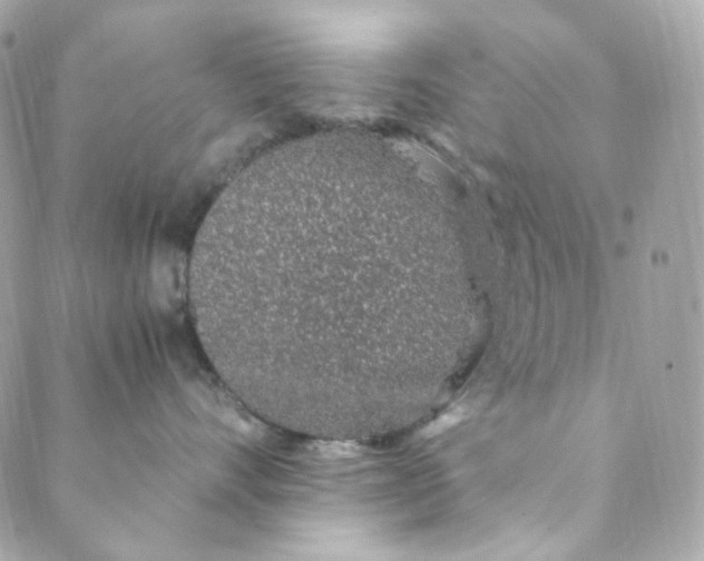 X0000088840528200706281824