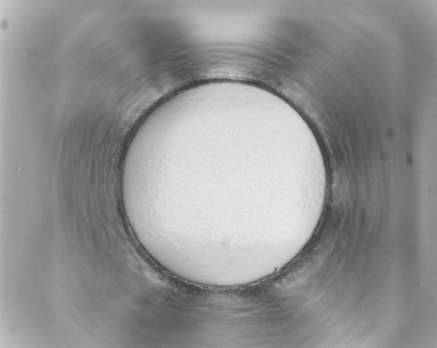 X0000088840529200706281824