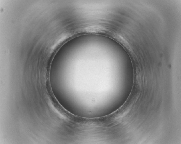 X0000088840530200706281824