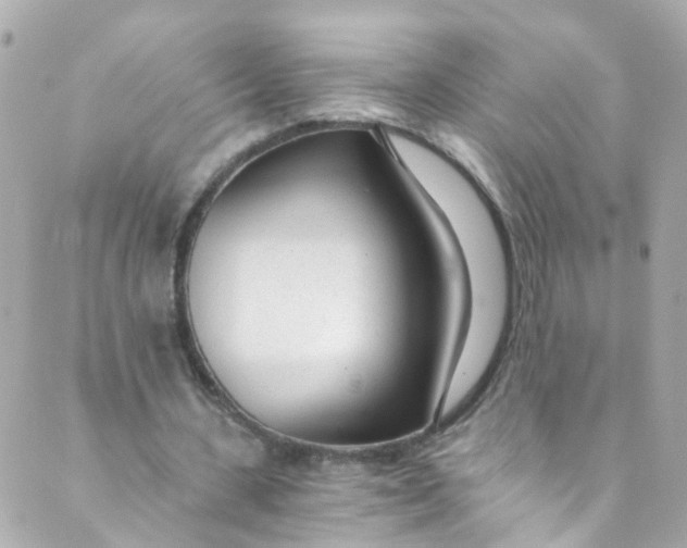 X0000088840531200706281824