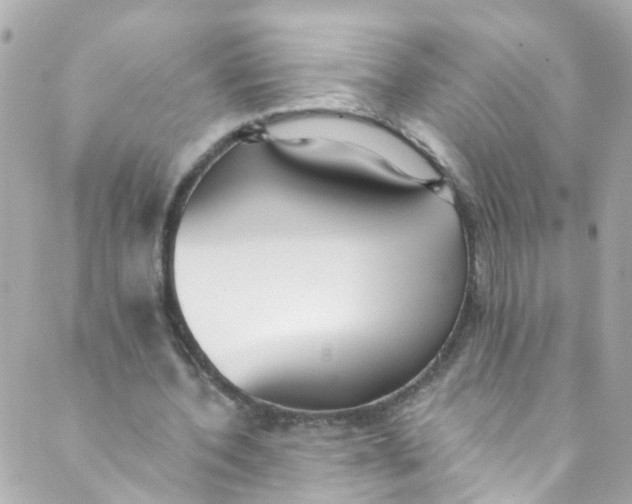 X0000088840532200706281824