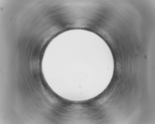 X0000088840534200706281824