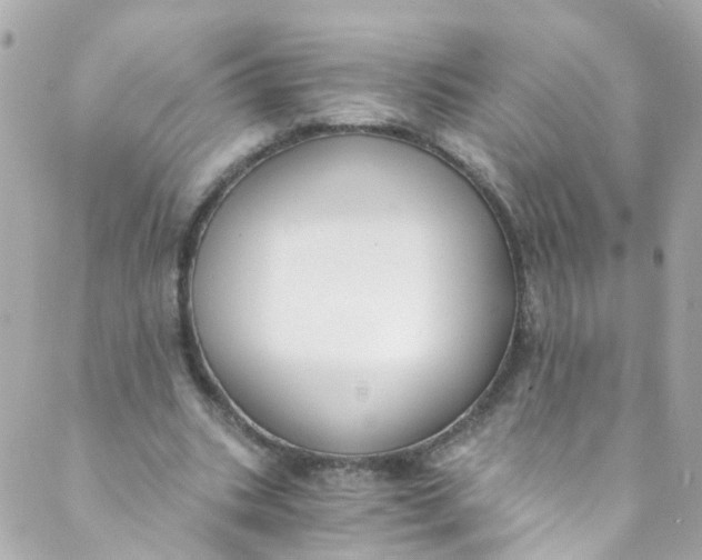 X0000088840535200706281824