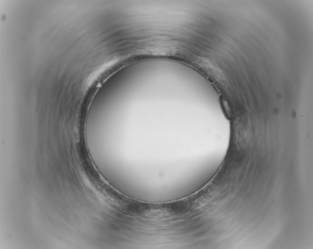 X0000088840536200706281824