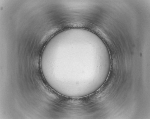 X0000088840537200706281824