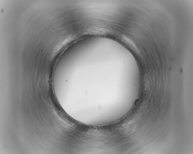 X0000088840538200706281824