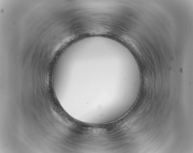 X0000088840539200706281824