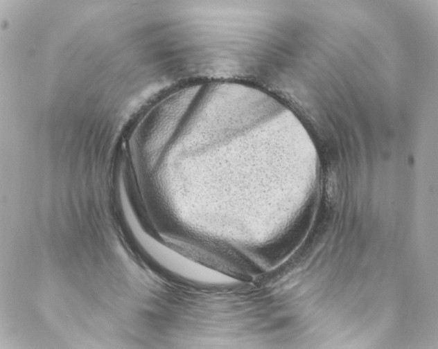 X0000088840540200706281824