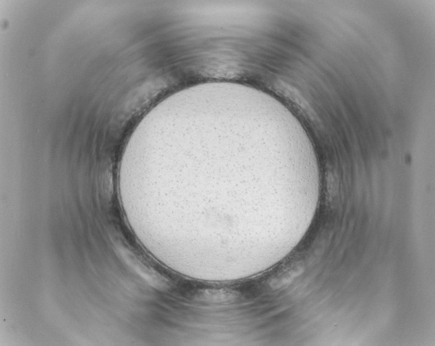 X0000088840541200706281824