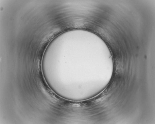 X0000088840542200706281824