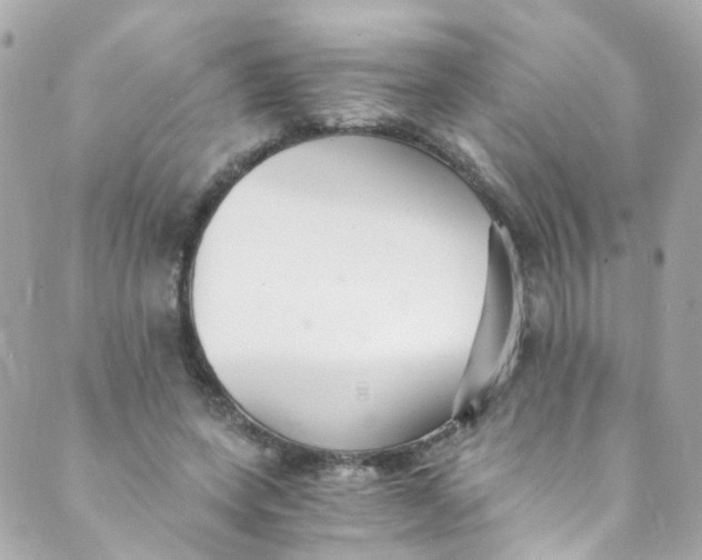 X0000088840543200706281824