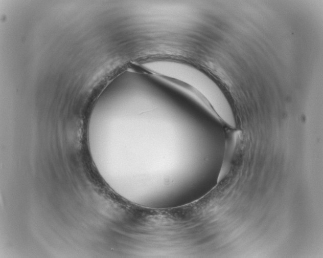 X0000088840544200706281824