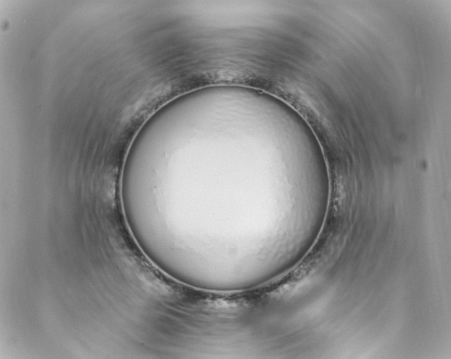 X0000088840545200706281824