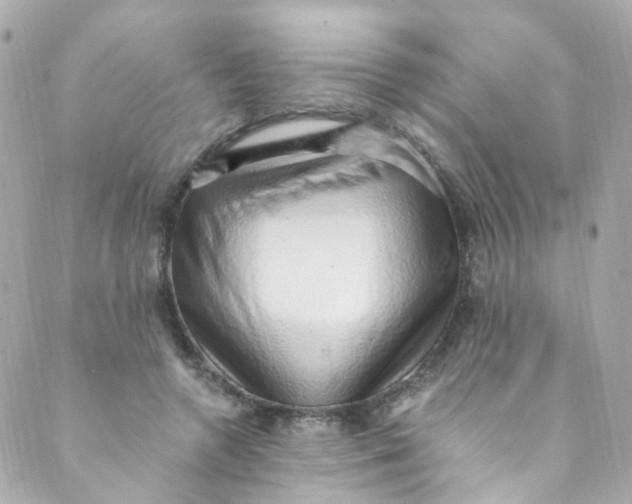 X0000088840546200706281824