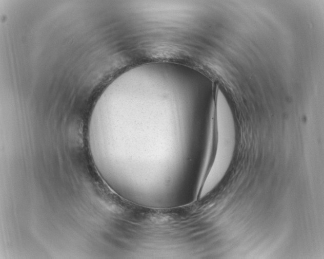 X0000088840547200706281824