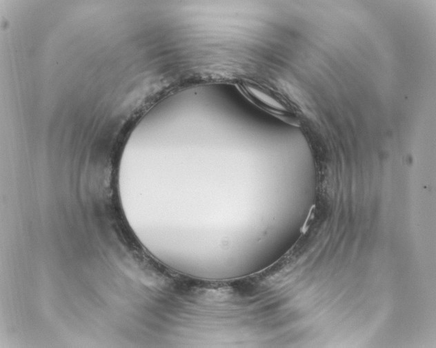 X0000088840548200706281824