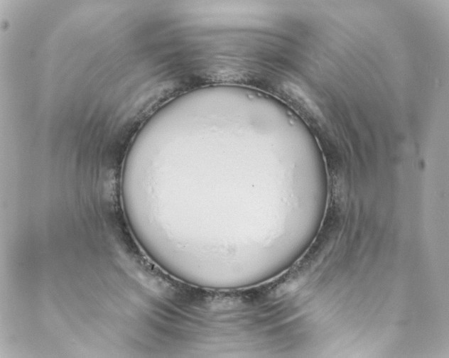 X0000088840549200706281824