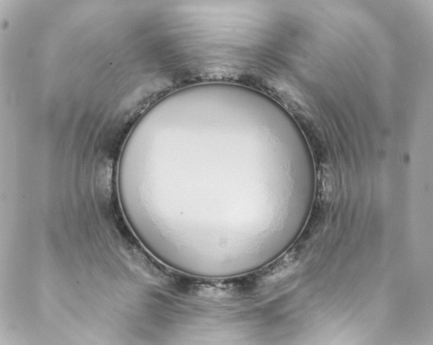 X0000088840550200706281824