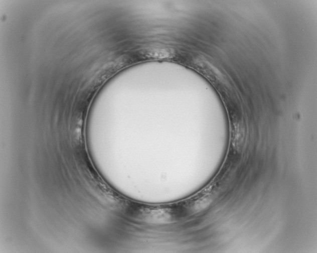 X0000088840553200706281824