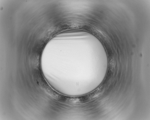 X0000088840554200706281824