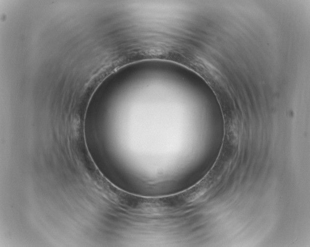 X0000088840556200706281824