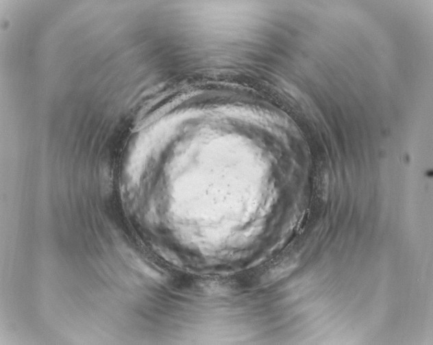 X0000088840558200706281824