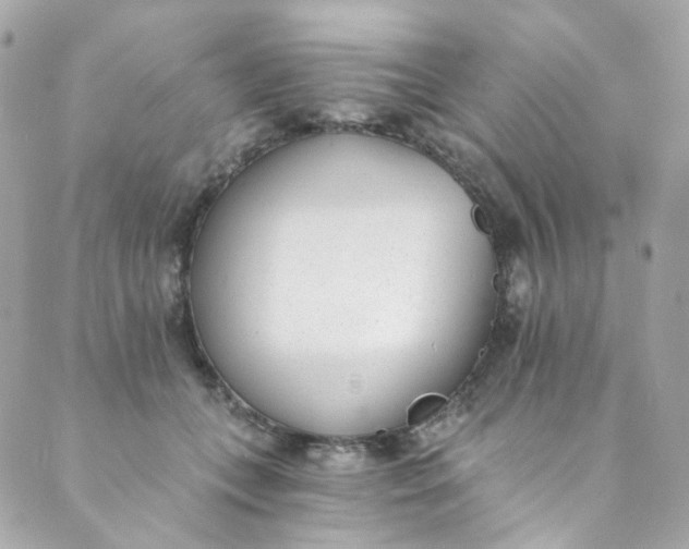 X0000088840559200706281824