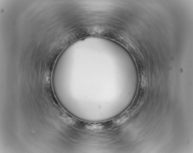 X0000088840561200706281824