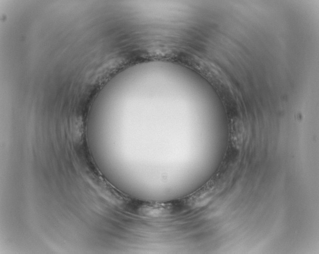 X0000088840563200706281824