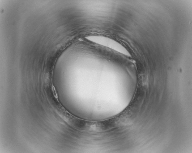 X0000088840564200706281824