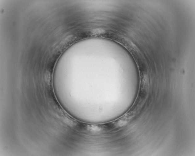 X0000088840565200706281824