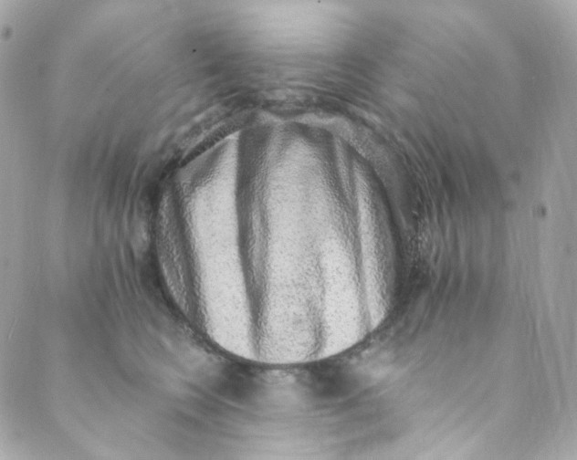 X0000088840566200706281824