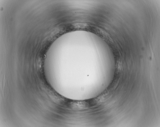 X0000088840567200706281824