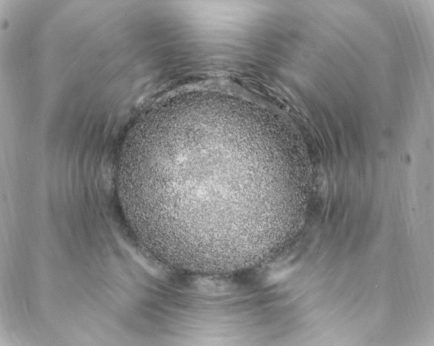 X0000088840568200706281824