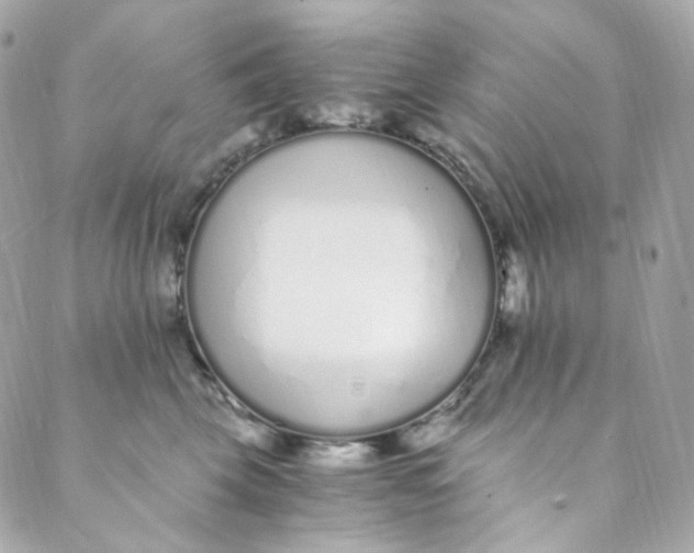 X0000088840569200706281824