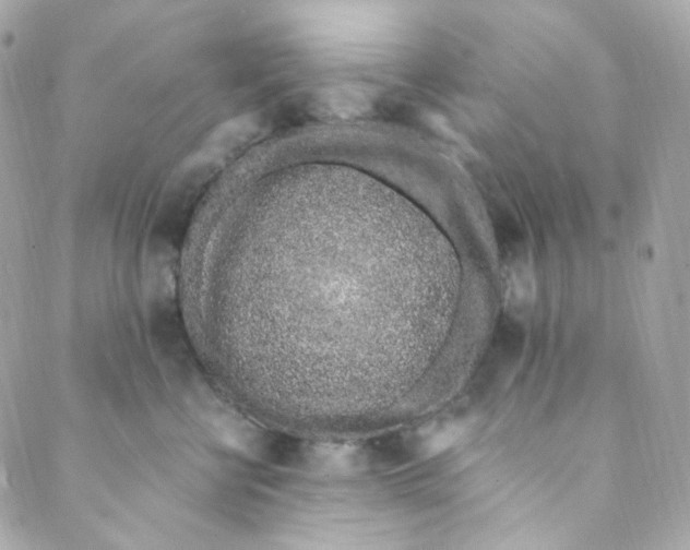 X0000088840570200706281824