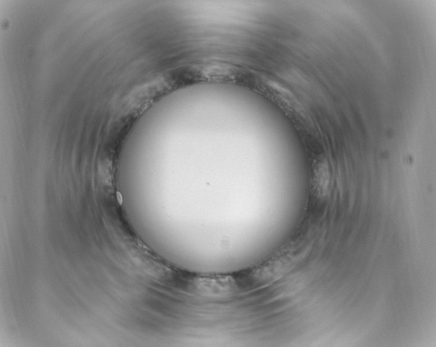 X0000088840571200706281824