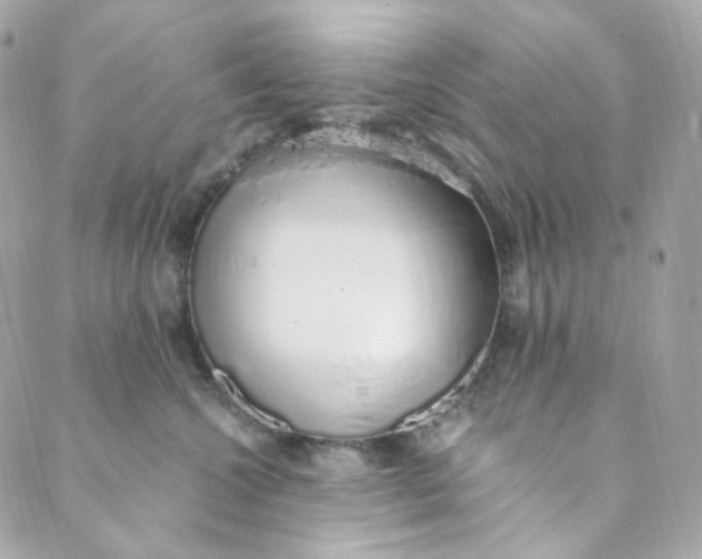 X0000088840572200706281824