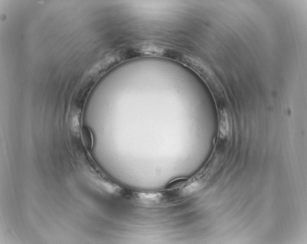 X0000088840573200706281824