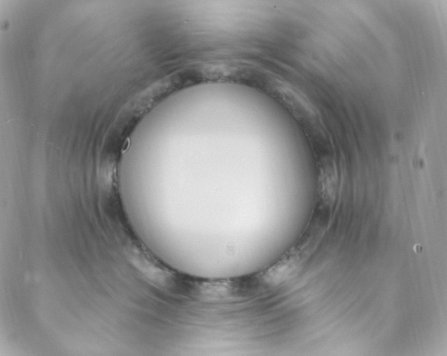 X0000088840574200706281824