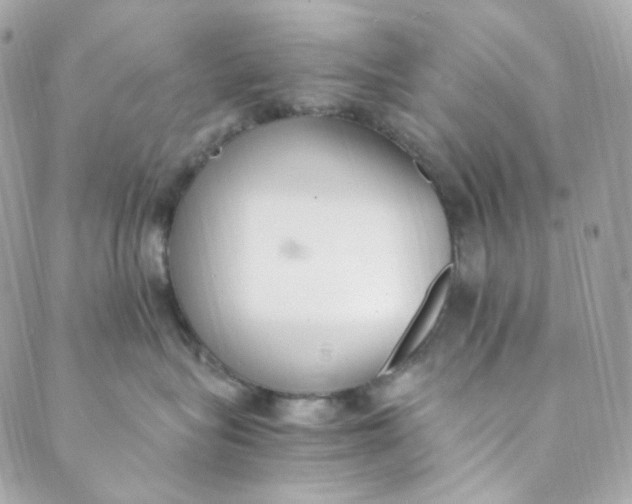 X0000088840575200706281824