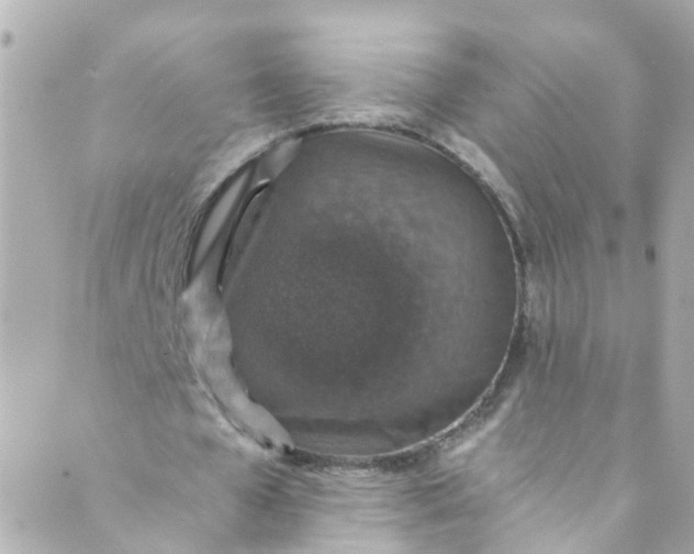 X0000088840577200706281824