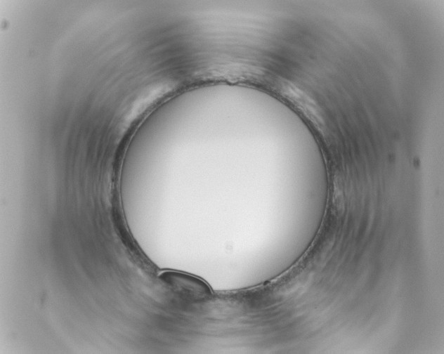 X0000088840578200706281824