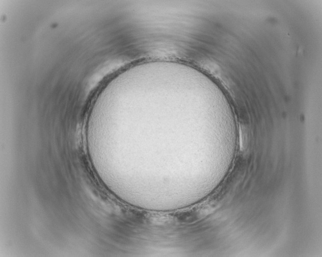 X0000088840579200706281824