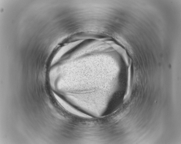 X0000088840580200706281824